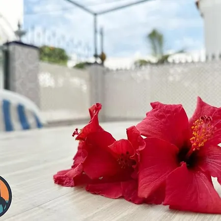 Apartamento Cala Mariquilla La Caneja By Bossh! *